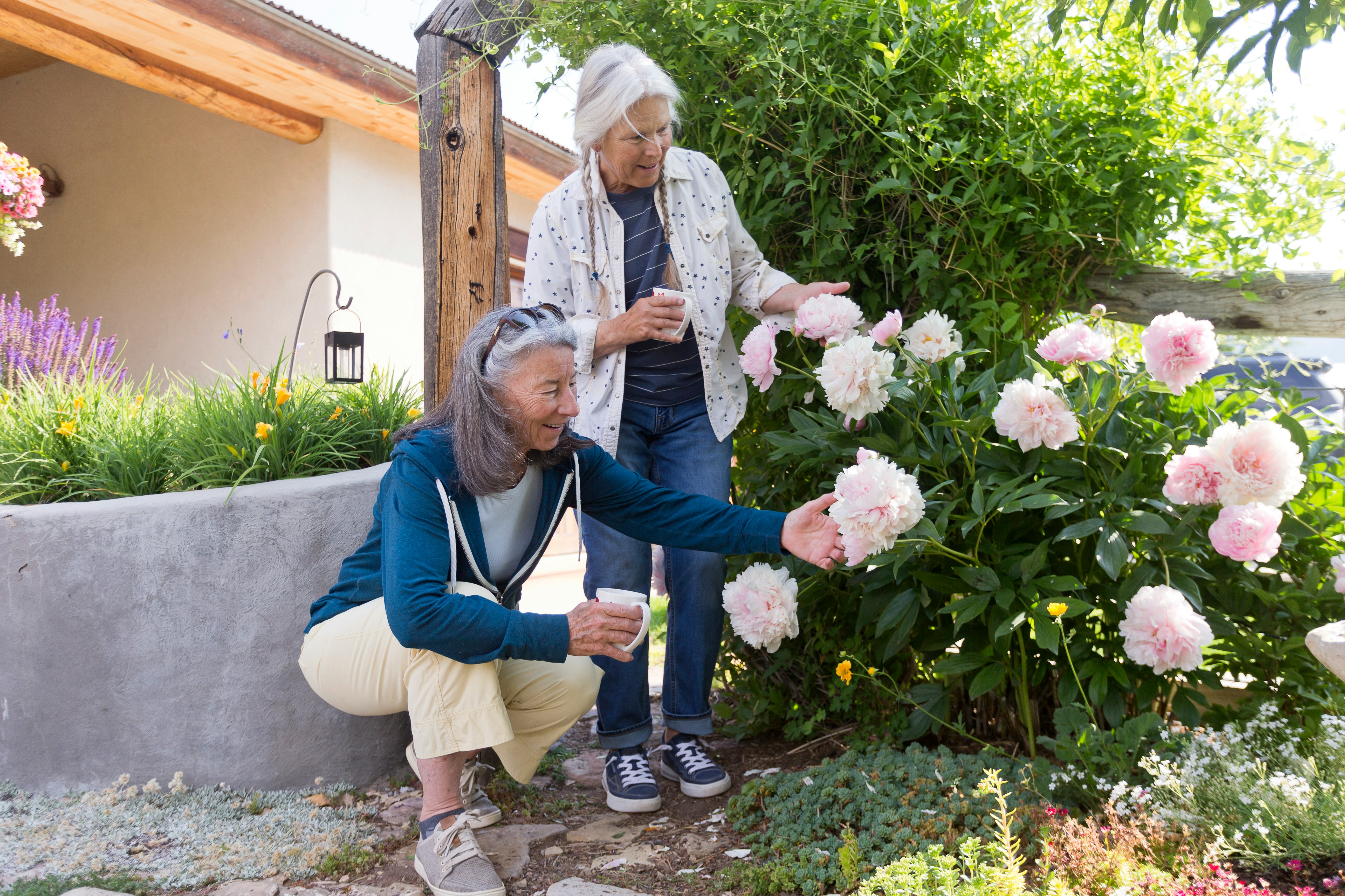 Two neighbors enjoying a garden together
